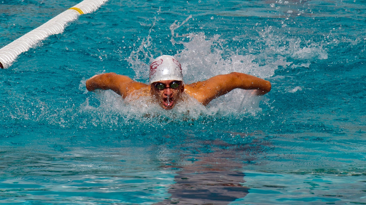 AUC Swimming 2013 14 1