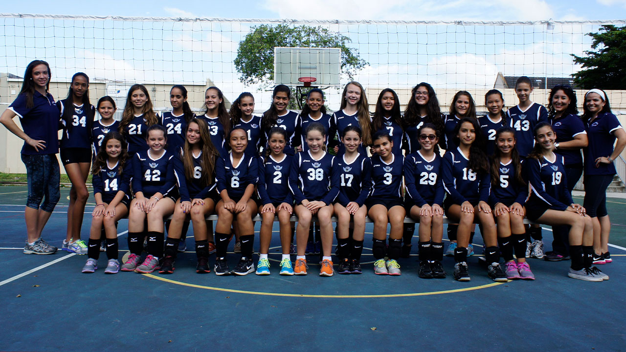 AMC Girls Volleyball Fall 2014 15 1