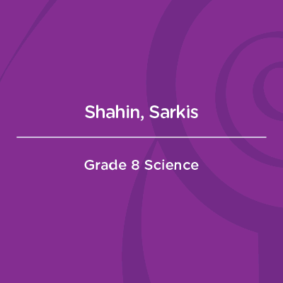 Shahin Sarkis AMC Faculty