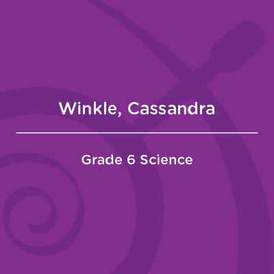 Winkle, Cassandra _AMC Faculty