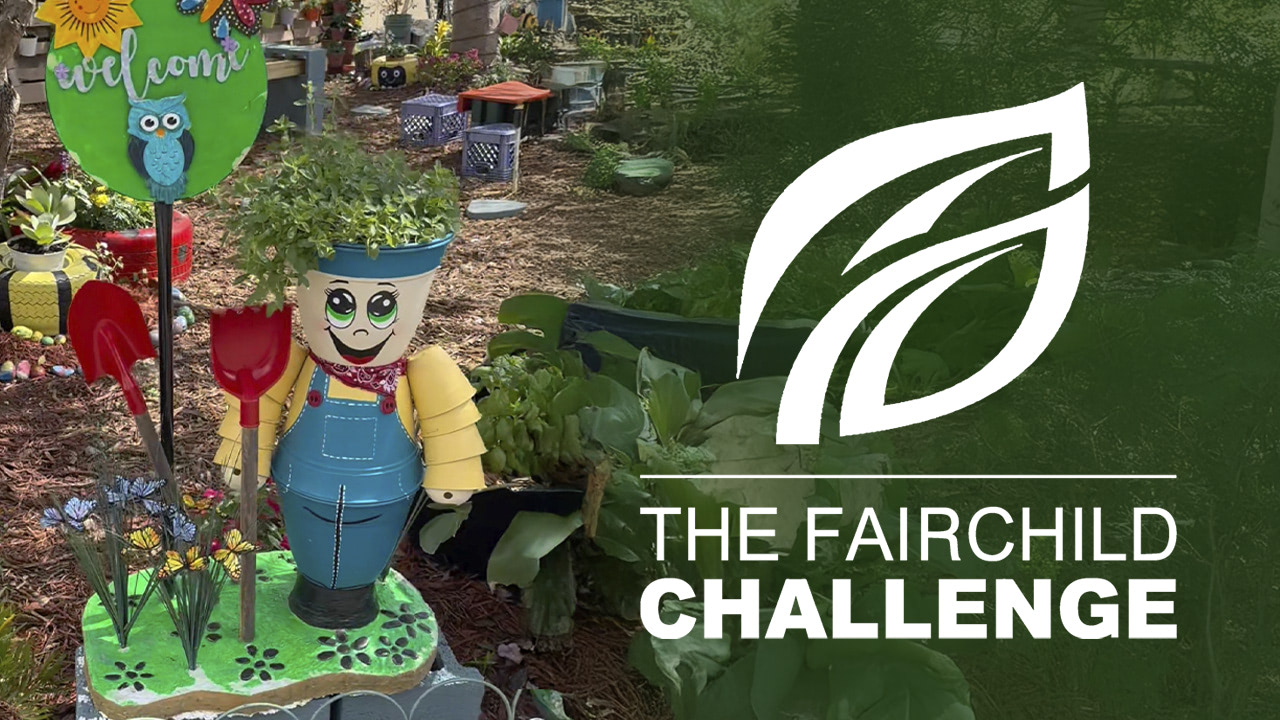 Innovative Roots Archimedean Academy’s Fairchild Garden Project FI
