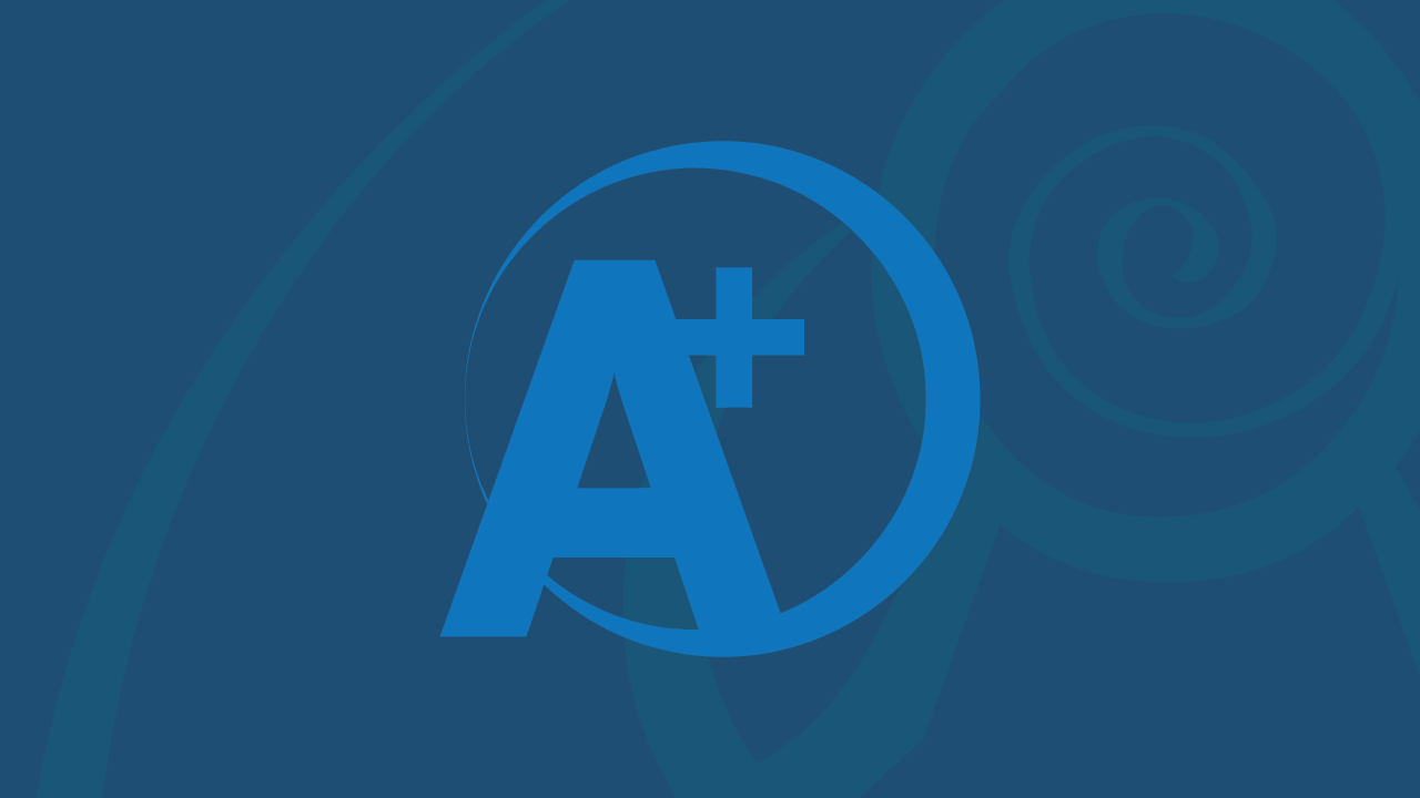 A+FI